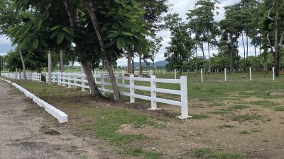 ที่ดิน 2 ไร่ ถนนหน้าแปลงกว้าง 10ม.+ พร้อมไฟฟ้า น้ำประปา ล้อมรั้ว ที่ดิน 2 ไร่ ถนนหน้าแปลงกว้าง 10ม.+ พร้อมไฟฟ้า น้ำประปา ล้อมรั้ว