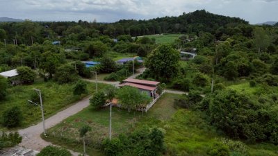 เนื้อที่ 80 ตารางวา ราคาเพียง 200,000 บาท เนื้อที่ 80 ตารางวา ราคาเพียง 200,000 บาท