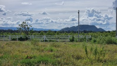 ที่ดินราชบุรี วิวเขา ใกล้ถนนทางหลวง และใกล้ตลาดจอมบึง การเดินทางสะดวก ที่ดินราชบุรี วิวเขา ใกล้ถนนทางหลวง และใกล้ตลาดจอมบึง การเดินทางสะดวก