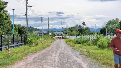 ที่ดินราชบุรี วิวเขา ใกล้ถนนทางหลวง และใกล้ตลาดจอมบึง การเดินทางสะดวก ที่ดินราชบุรี วิวเขา ใกล้ถนนทางหลวง และใกล้ตลาดจอมบึง การเดินทางสะดวก