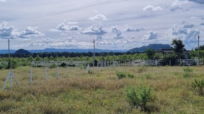 ที่ดินราชบุรี วิวเขา ใกล้ถนนทางหลวง และใกล้ตลาดจอมบึง การเดินทางสะดวก