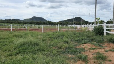 ที่ดินโฉนด วิวเขาล้อม เหมาะกับบ้านสวนเกษตร ต.หนองกวาง อ.โพธาราม จ.ราชบุรี ที่ดินโฉนด วิวเขาล้อม เหมาะกับบ้านสวนเกษตร ต.หนองกวาง อ.โพธาราม จ.ราชบุรี