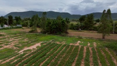 เนื้อที่ 2 ไร่ ราคาไร่ละ 350,000 บาท ต.รางบัว อ.จอมบึง จ.ราชบุรี