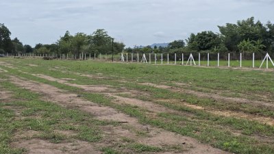 ที่ดินพร้อมไฟฟ้า น้ำประปา เขตชุมชน 1 ไร่ 620,000 บาท