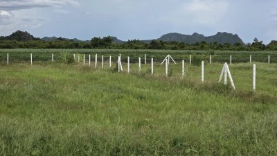 ที่ดินโฉนด ผ่อนได้ถึง 84 งวด เนื้อที่ 1 ไร่ วิวเขาล้อม