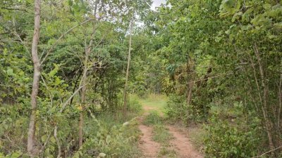 เนื้อที่ 2 ไร่ ราคาไร่ละ 350,000 บาท ต.รางบัว อ.จอมบึง จ.ราชบุรี