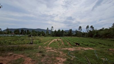 เนื้อที่ 2 ไร่ ราคาไร่ละ 350,000 บาท ต.รางบัว อ.จอมบึง จ.ราชบุรี เนื้อที่ 2 ไร่ ราคาไร่ละ 350,000 บาท ต.รางบัว อ.จอมบึง จ.ราชบุรี