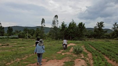 เนื้อที่ 2 ไร่ ราคาไร่ละ 350,000 บาท ต.รางบัว อ.จอมบึง จ.ราชบุรี เนื้อที่ 2 ไร่ ราคาไร่ละ 350,000 บาท ต.รางบัว อ.จอมบึง จ.ราชบุรี