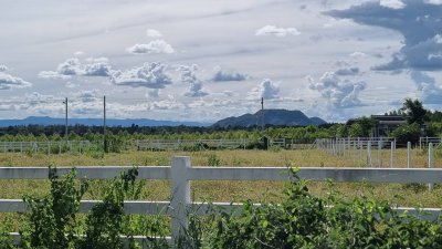 ที่ดินราชบุรี วิวเขา ใกล้ถนนทางหลวง และใกล้ตลาดจอมบึง การเดินทางสะดวก