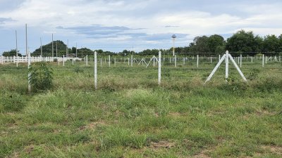 ที่ดินโฉนด วิวเขาล้อม เหมาะกับบ้านสวนเกษตร ต.หนองกวาง อ.โพธาราม จ.ราชบุรี