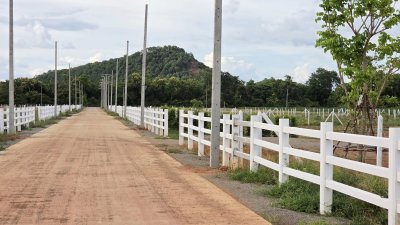 ที่ดินโฉนด สด-ผ่อน วิวเขาล้อม เหมาะกับบ้านสวนเกษตร