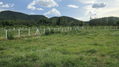 ที่ดินโฉนด วิวเขาล้อม เหมาะกับบ้านสวนเกษตร ต.หนองกวาง อ.โพธาราม จ.ราชบุรี ที่ดินโฉนด วิวเขาล้อม เหมาะกับบ้านสวนเกษตร ต.หนองกวาง อ.โพธาราม จ.ราชบุรี