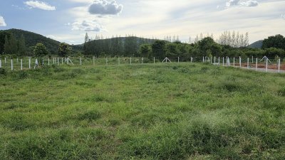 ที่ดินโฉนด วิวเขาล้อม เหมาะกับบ้านสวนเกษตร ต.หนองกวาง อ.โพธาราม จ.ราชบุรี