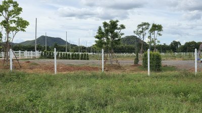 ที่ดินโฉนด สด-ผ่อน วิวเขาล้อม เหมาะกับบ้านสวนเกษตร