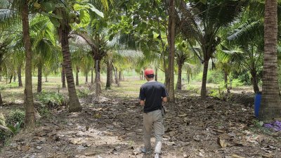 สวนมะพร้าว วิวเขา ติดถนนทางหลวง มีถนน 2 ด้าน หน้า-หลัง สวนมะพร้าว วิวเขา ติดถนนทางหลวง มีถนน 2 ด้าน หน้า-หลัง