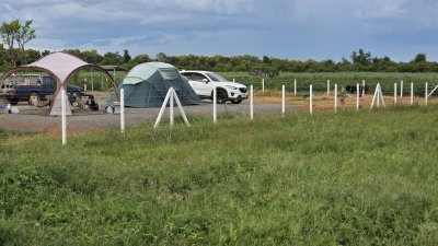 ที่ดินโฉนด สด-ผ่อน วิวเขาล้อม เหมาะกับบ้านสวนเกษตร