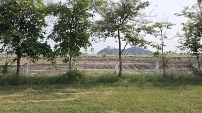 ที่ดินปลูกต้นไม้ผล ไม้ยืนต้นเหมาะบ้านสวน บ้านพักวัยเกษียณ ที่ดินปลูกต้นไม้ผล ไม้ยืนต้นเหมาะบ้านสวน บ้านพักวัยเกษียณ