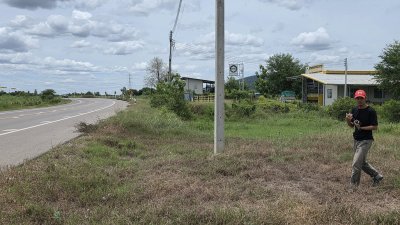 สวนมะพร้าว วิวเขา ติดถนนทางหลวง มีถนน 2 ด้าน หน้า-หลัง