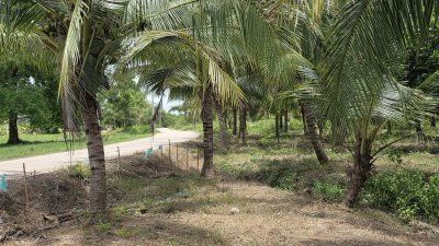 สวนมะพร้าว วิวเขา ติดถนนทางหลวง มีถนน 2 ด้าน หน้า-หลัง