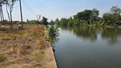 ขายที่ดินริมน้ำ หน้ากว้างที่ดินโฉนด 5 ไร่ ราคา 15.9 ล้านบาท ขายที่ดินริมน้ำ หน้ากว้างที่ดินโฉนด 5 ไร่ ราคา 15.9 ล้านบาท