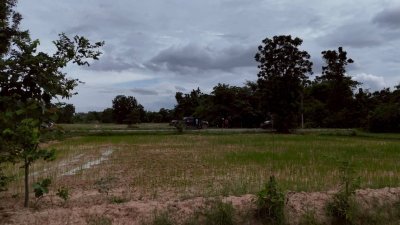 โฉนดเหมาะทำเกษตร, บ้านสวนผสมผสาน โคกหนองนา, ปลูกป่า เนื้อที่ 5 ไร่