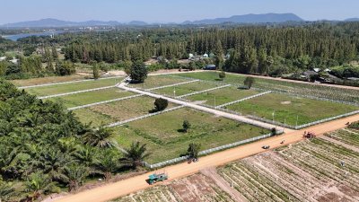 ที่ดินสวนผึ้ง เอกสารสิทธิ์โฉนด 4 ไร่ ติดทางสาธารณะ 3 ด้าน