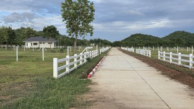 ที่ดินโฉนด วิวภูเขาล้อม 1 ไร่ 1 งาน 25 ตร.วา ฟรีโอน ที่ดินโฉนด วิวภูเขาล้อม 1 ไร่ 1 งาน 25 ตร.วา ฟรีโอน