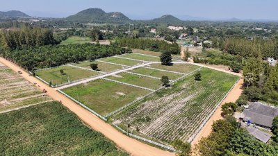 ที่ดินสวนผึ้ง เอกสารสิทธิ์โฉนด 4 ไร่ ติดทางสาธารณะ 3 ด้าน ที่ดินสวนผึ้ง เอกสารสิทธิ์โฉนด 4 ไร่ ติดทางสาธารณะ 3 ด้าน