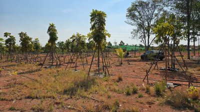 ขายที่ดินริมน้ำ หน้ากว้างที่ดินโฉนด 5 ไร่ ราคา 15.9 ล้านบาท ขายที่ดินริมน้ำ หน้ากว้างที่ดินโฉนด 5 ไร่ ราคา 15.9 ล้านบาท