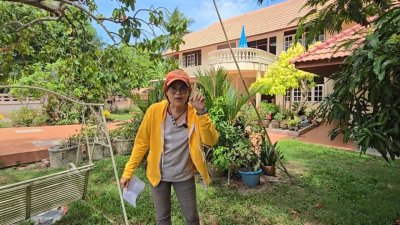 บ้านพร้อมที่ดิน ใจกลางเมืองใกล้มหาวิทยาลัย อ.เมืองสงขลา จ.สงขลา บ้านพร้อมที่ดิน ใจกลางเมืองใกล้มหาวิทยาลัย อ.เมืองสงขลา จ.สงขลา