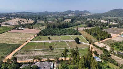 ที่ดินโฉนดสวนผึ้ง สด-ผ่อน 1 ไร่ พร้อมน้ำประปาภูมิภาค และไฟฟ้า