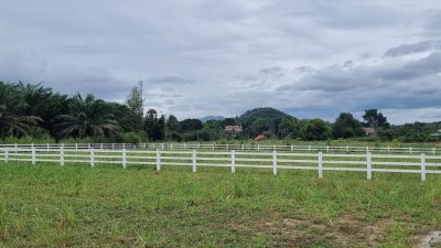 ที่ดินโฉนดสวนผึ้ง สด-ผ่อน 1 ไร่ พร้อมน้ำประปาภูมิภาค และไฟฟ้า ที่ดินโฉนดสวนผึ้ง สด-ผ่อน 1 ไร่ พร้อมน้ำประปาภูมิภาค และไฟฟ้า