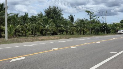 สวนมะพร้าว วิวเขา ติดถนนทางหลวง มีถนน 2 ด้าน หน้า-หลัง