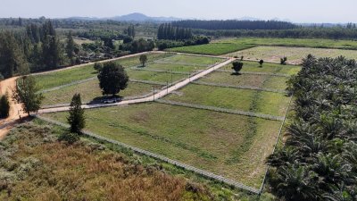 ที่ดินสวนผึ้ง เอกสารสิทธิ์โฉนด 4 ไร่ ติดทางสาธารณะ 3 ด้าน ที่ดินสวนผึ้ง เอกสารสิทธิ์โฉนด 4 ไร่ ติดทางสาธารณะ 3 ด้าน