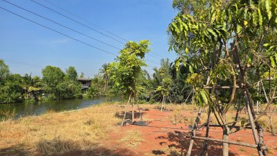 ขายที่ดินริมน้ำ หน้ากว้างที่ดินโฉนด 5 ไร่ ราคา 15.9 ล้านบาท ขายที่ดินริมน้ำ หน้ากว้างที่ดินโฉนด 5 ไร่ ราคา 15.9 ล้านบาท