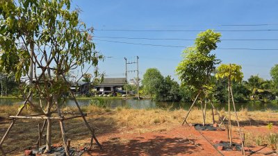 ขายที่ดินริมน้ำ หน้ากว้างที่ดินโฉนด 5 ไร่ ราคา 15.9 ล้านบาท