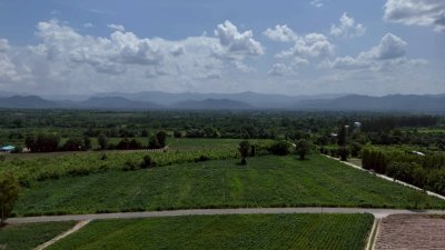 ที่ดินวิวเขา หน้ากว้างถนนสาธารณะ 2 ด้าน 17 ไร่ 2 งาน ที่ดินวิวเขา หน้ากว้างถนนสาธารณะ 2 ด้าน 17 ไร่ 2 งาน