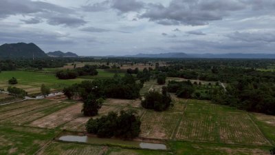โฉนดเหมาะทำเกษตร, บ้านสวนผสมผสาน โคกหนองนา, ปลูกป่า เนื้อที่ 5 ไร่ โฉนดเหมาะทำเกษตร, บ้านสวนผสมผสาน โคกหนองนา, ปลูกป่า เนื้อที่ 5 ไร่
