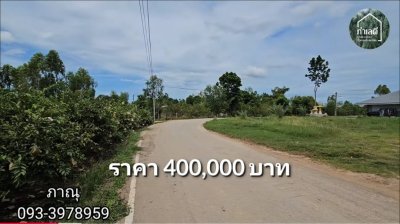 ที่ดิน 260 ตร.วา ติดถนนลาดยาง หน้ากว้างติดถนน 30 เมตร ที่ดิน 260 ตร.วา ติดถนนลาดยาง หน้ากว้างติดถนน 30 เมตร