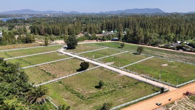 ที่ดินสวนผึ้ง เอกสารสิทธิ์โฉนด 4 ไร่ ติดทางสาธารณะ 3 ด้าน ที่ดินสวนผึ้ง เอกสารสิทธิ์โฉนด 4 ไร่ ติดทางสาธารณะ 3 ด้าน