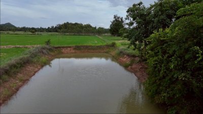 โฉนดเหมาะทำเกษตร, บ้านสวนผสมผสาน โคกหนองนา, ปลูกป่า เนื้อที่ 5 ไร่ โฉนดเหมาะทำเกษตร, บ้านสวนผสมผสาน โคกหนองนา, ปลูกป่า เนื้อที่ 5 ไร่