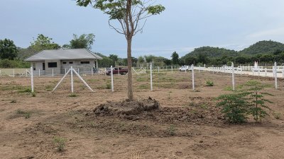 ที่ดินโฉนด วิวภูเขาหน้า-หลัง วิวเขาพาโนราม่า มีไฟฟ้า น้ำประปา ล้อมรั้ว ที่ดินโฉนด วิวภูเขาหน้า-หลัง วิวเขาพาโนราม่า มีไฟฟ้า น้ำประปา ล้อมรั้ว