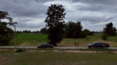 โฉนดเหมาะทำเกษตร, บ้านสวนผสมผสาน โคกหนองนา, ปลูกป่า เนื้อที่ 5 ไร่