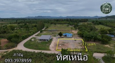 ที่ดิน 260 ตร.วา ติดถนนลาดยาง หน้ากว้างติดถนน 30 เมตร