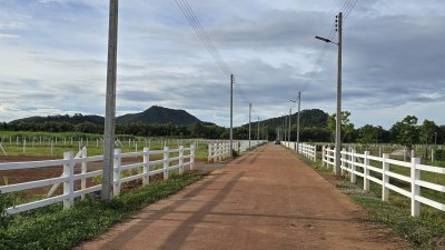 ที่ดินโฉนด วิวเขาล้อม บรรยากาศธรรมชาติ 1 ไร่