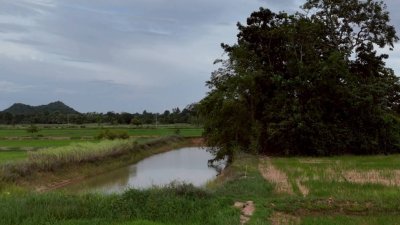 โฉนดเหมาะทำเกษตร, บ้านสวนผสมผสาน โคกหนองนา, ปลูกป่า เนื้อที่ 5 ไร่ โฉนดเหมาะทำเกษตร, บ้านสวนผสมผสาน โคกหนองนา, ปลูกป่า เนื้อที่ 5 ไร่