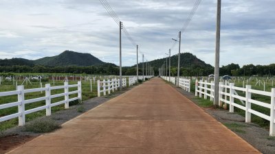ที่ดินโฉนด วิวเขาล้อม บรรยากาศธรรมชาติ 1 ไร่