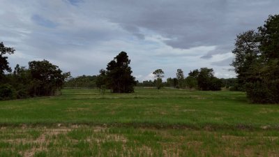 โฉนดเหมาะทำเกษตร, บ้านสวนผสมผสาน โคกหนองนา, ปลูกป่า เนื้อที่ 5 ไร่ โฉนดเหมาะทำเกษตร, บ้านสวนผสมผสาน โคกหนองนา, ปลูกป่า เนื้อที่ 5 ไร่