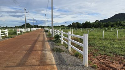 ที่ดินโฉนด วิวเขาล้อม บรรยากาศธรรมชาติ 1 ไร่