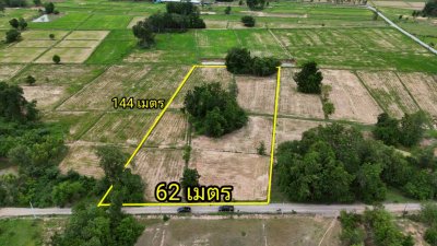 โฉนดเหมาะทำเกษตร, บ้านสวนผสมผสาน โคกหนองนา, ปลูกป่า เนื้อที่ 5 ไร่